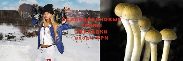 apvp Абдулино