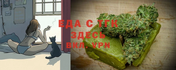 индика Алексин