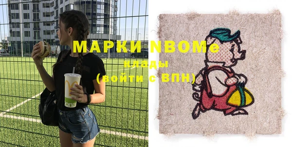 индика Алексин