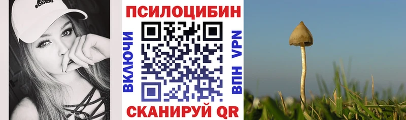 это какой сайт  blacksprut ССЫЛКА  Заволжье  Галлюциногенные грибы Psilocybine cubensis 